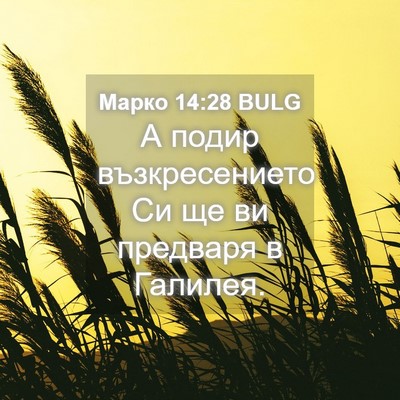 Picture 04 - Марко 14:28 BULG - А подир възкресението Си - Bible Verse Picture