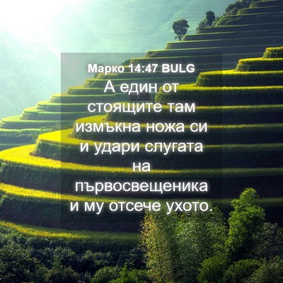 Picture 04 - Марко 14:47 BULG - А един от стоящите там - Bible Verse Picture