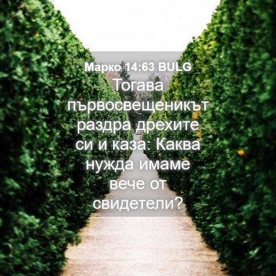 Picture 04 - Марко 14:63 BULG - Тогава първосвещеникът - Bible Verse Picture