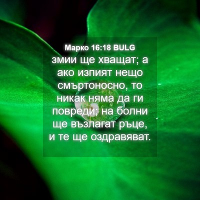 Picture 04 - Марко 16:18 BULG - змии ще хващат; а ако - Bible Verse Picture