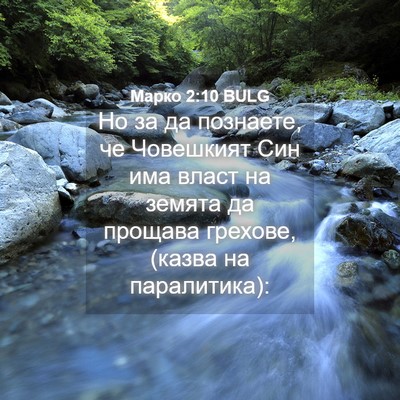 Picture 04 - Марко 2:10 BULG - Но за да познаете, че - Bible Verse Picture