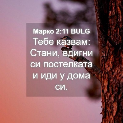Picture 04 - Марко 2:11 BULG - Тебе казвам: Стани, вдигни - Bible Verse Picture
