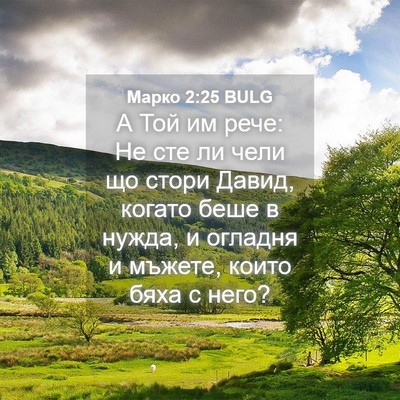 Picture 04 - Марко 2:25 BULG - А Той им рече: Не сте ли - Bible Verse Picture