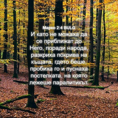 Picture 04 - Марко 2:4 BULG - И като не можаха да се - Bible Verse Picture