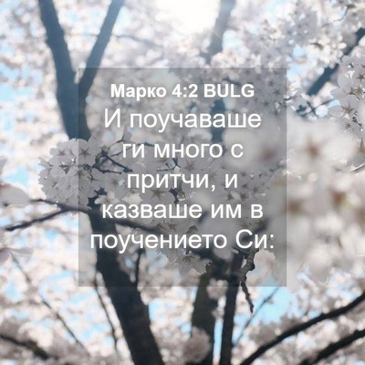 Picture 04 - Марко 4:2 BULG - И поучаваше ги много с - Bible Verse Picture