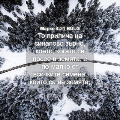 Picture 04 - Марко 4:31 BULG - То прилича на синапово - Bible Verse Picture