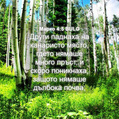 Picture 04 - Марко 4:5 BULG - Други паднаха на канаристо - Bible Verse Picture