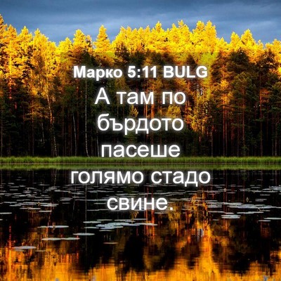 Picture 04 - Марко 5:11 BULG - А там по бърдото пасеше - Bible Verse Picture