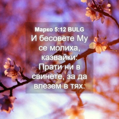 Picture 04 - Марко 5:12 BULG - И бесовете Му се молиха, - Bible Verse Picture