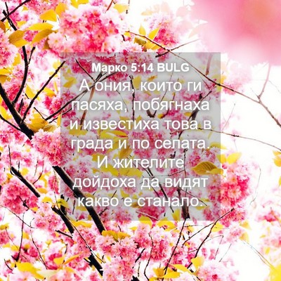 Picture 04 - Марко 5:14 BULG - А ония, които ги пасяха, - Bible Verse Picture