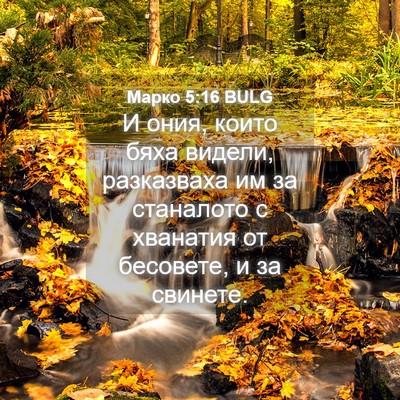 Picture 04 - Марко 5:16 BULG - И ония, които бяха видели, - Bible Verse Picture