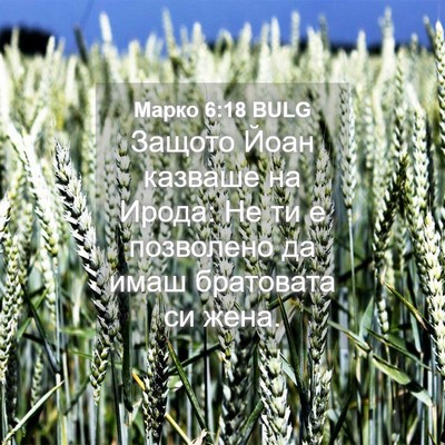 Picture 04 - Марко 6:18 BULG - Защото Йоан казваше на - Bible Verse Picture