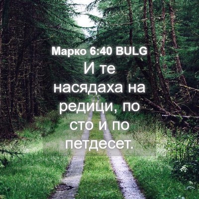 Picture 04 - Марко 6:40 BULG - И те насядаха на редици, по - Bible Verse Picture