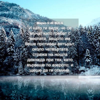 Picture 04 - Марко 6:48 BULG - И като ги видя, че се мъчат - Bible Verse Picture