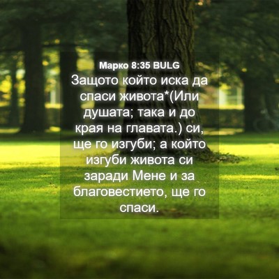Picture 04 - Марко 8:35 BULG - Защото който иска да спаси - Bible Verse Picture