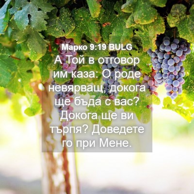 Picture 04 - Марко 9:19 BULG - А Той в отговор им каза: О - Bible Verse Picture