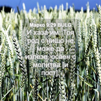 Picture 04 - Марко 9:29 BULG - И каза им: Тоя род с нищо не - Bible Verse Picture