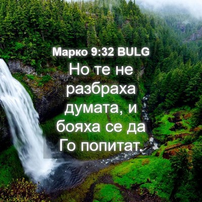 Picture 04 - Марко 9:32 BULG - Но те не разбраха думата, и - Bible Verse Picture
