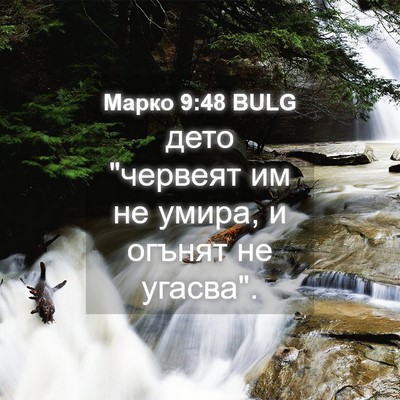 Picture 04 - Марко 9:48 BULG - дето 