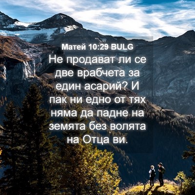 Picture 04 - Матей 10:29 BULG - Не продават ли се две - Bible Verse Picture