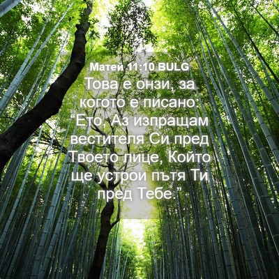 Picture 04 - Матей 11:10 BULG - Това е онзи, за когото е - Bible Verse Picture