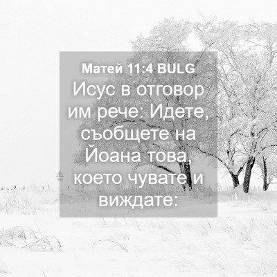 Picture 04 - Матей 11:4 BULG - Исус в отговор им рече: - Bible Verse Picture