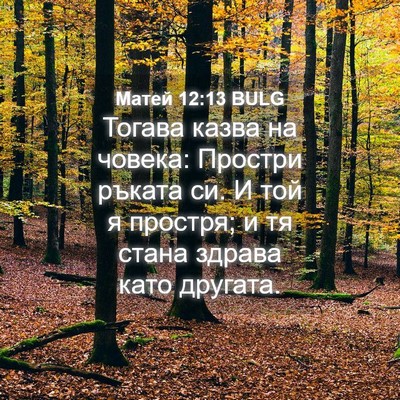 Picture 04 - Матей 12:13 BULG - Тогава казва на човека: - Bible Verse Picture
