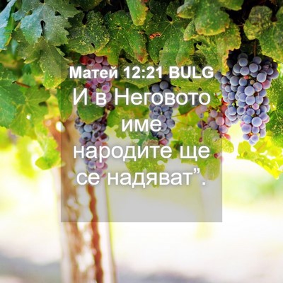 Picture 04 - Матей 12:21 BULG - И в Неговото име народите - Bible Verse Picture