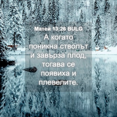 Picture 04 - Матей 13:26 BULG - А когато поникна стволът и - Bible Verse Picture