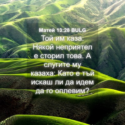 Picture 04 - Матей 13:28 BULG - Той им каза: Някой - Bible Verse Picture