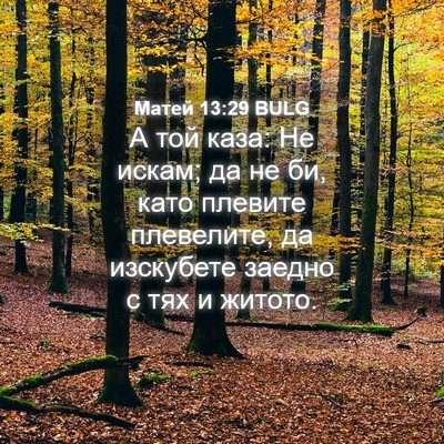 Picture 04 - Матей 13:29 BULG - А той каза: Не искам; да не - Bible Verse Picture