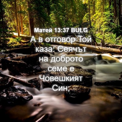 Picture 04 - Матей 13:37 BULG - А в отговор Той каза: - Bible Verse Picture