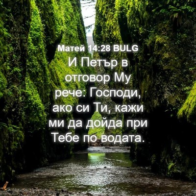 Picture 04 - Матей 14:28 BULG - И Петър в отговор Му рече: - Bible Verse Picture