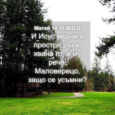 Picture 04 - Матей 14:31 BULG - И Исус веднага простря - Bible Verse Picture