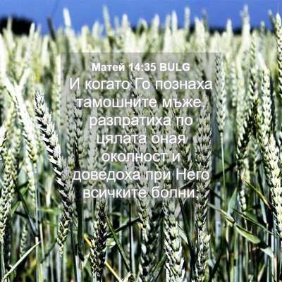 Picture 04 - Матей 14:35 BULG - И когато Го познаха - Bible Verse Picture