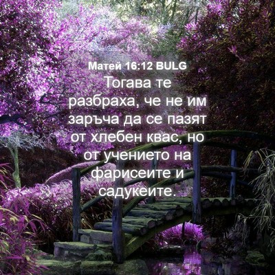 Picture 04 - Матей 16:12 BULG - Тогава те разбраха, че не - Bible Verse Picture