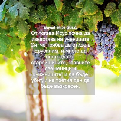 Picture 04 - Матей 16:21 BULG - От тогава Исус почна да - Bible Verse Picture