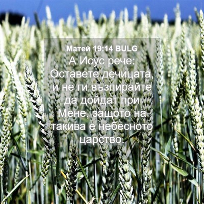 Picture 04 - Матей 19:14 BULG - А Исус рече: Оставете - Bible Verse Picture