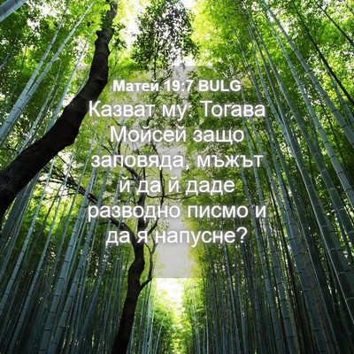 Picture 04 - Матей 19:7 BULG - Казват му: Тогава Мойсей - Bible Verse Picture