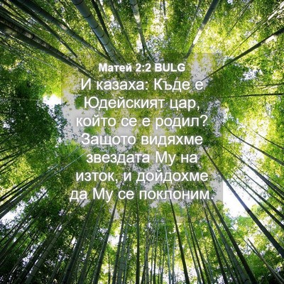 Picture 04 - Матей 2:2 BULG - И казаха: Къде е Юдейският - Bible Verse Picture