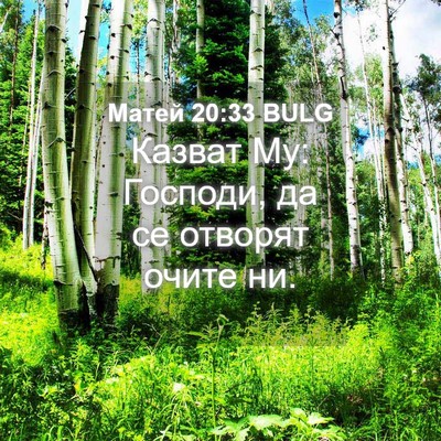 Picture 04 - Матей 20:33 BULG - Казват Му: Господи, да се - Bible Verse Picture
