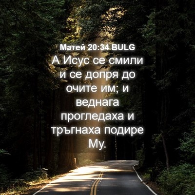 Picture 04 - Матей 20:34 BULG - А Исус се смили и се допря - Bible Verse Picture
