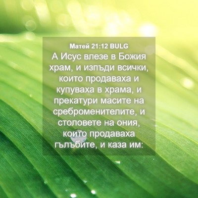 Picture 04 - Матей 21:12 BULG - А Исус влезе в Божия храм, и - Bible Verse Picture