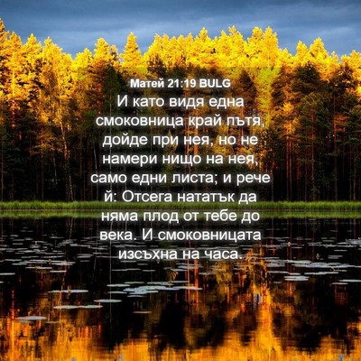 Picture 04 - Матей 21:19 BULG - И като видя една - Bible Verse Picture