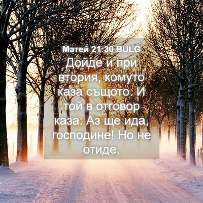 Picture 04 - Матей 21:30 BULG - Дойде и при втория, комуто - Bible Verse Picture