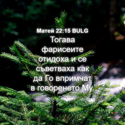 Picture 04 - Матей 22:15 BULG - Тогава фарисеите отидоха и - Bible Verse Picture