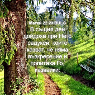 Picture 04 - Матей 22:23 BULG - В същия ден дойдоха при - Bible Verse Picture
