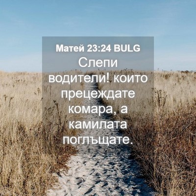 Picture 04 - Матей 23:24 BULG - Слепи водители! които - Bible Verse Picture