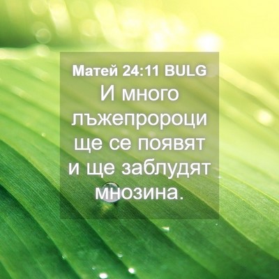 Picture 04 - Матей 24:11 BULG - И много лъжепророци ще се - Bible Verse Picture