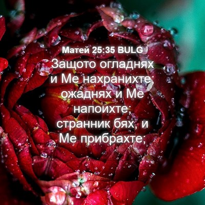 Picture 04 - Матей 25:35 BULG - Защото огладнях и Ме - Bible Verse Picture